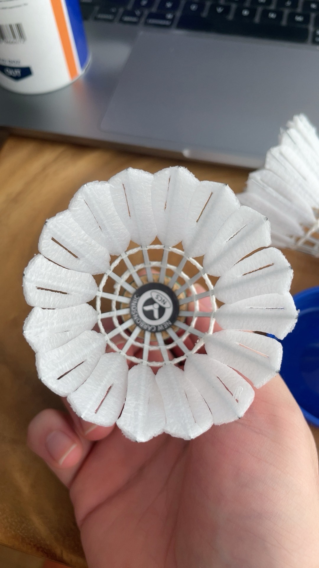 这对未来成 这对未来成